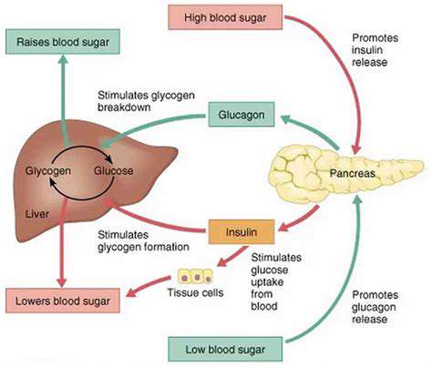 PoorBloodSugarRegulation:FuelingYourBodyRight