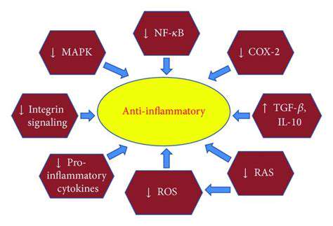 The Potential of Ginger for Migraine Symptoms