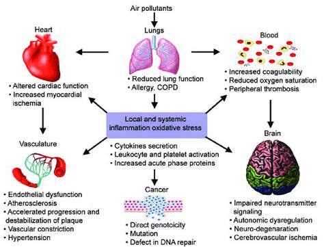 TheMechanismsofAction:HowAirPollutionAffectstheBrain