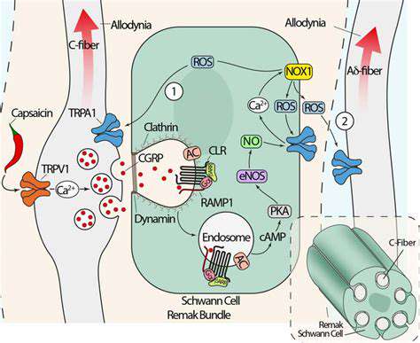 TheRoleofEndorphinsinMigraineManagement