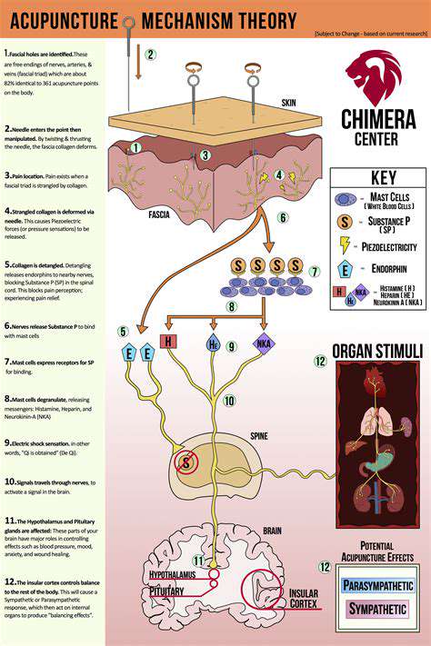 Mechanism