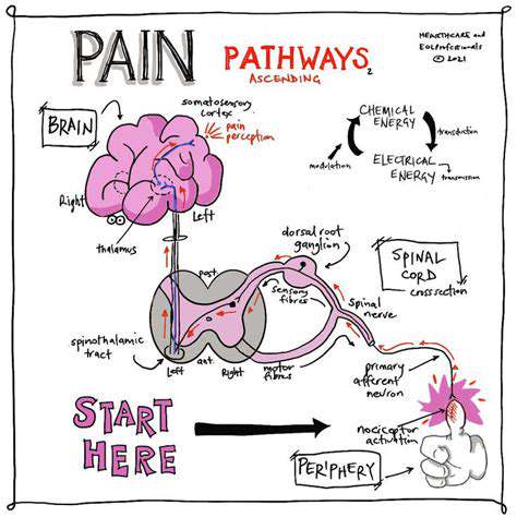 How Chronic Stress Physically Changes the Brain in Migraine Sufferers