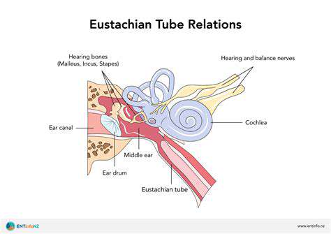 TheRoleofEustachianTubeDysfunction