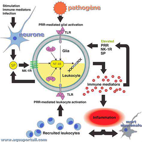 Exploring the Role of Neurotransmitters in Headaches
